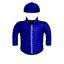 BOLD JESTER