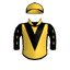 THE ACE PROJECT
