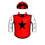 DRAGONFLAME