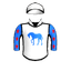 TIZCOLONELFORCE