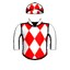 DOG SOLDIER