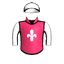 SANTOLINI