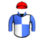 WEALTHY INVESTOR