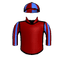 ALGORITHMIC