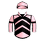 WINSTON'S WARRIOR