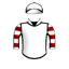 ROADSWITCHER