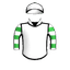 RR LEWCILLE