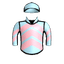 JAXER