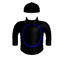 CELESTIAL SPEED