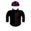 LAST RAIDER