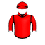 SARAYU