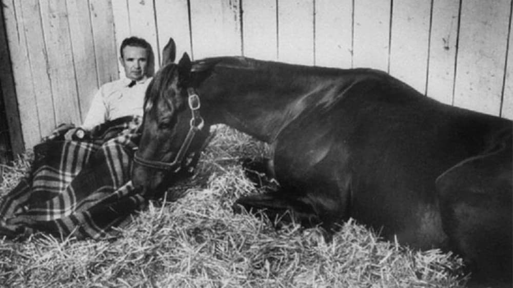 Swaps: The Legendary Thoroughbred Who Redefined Horse Racing