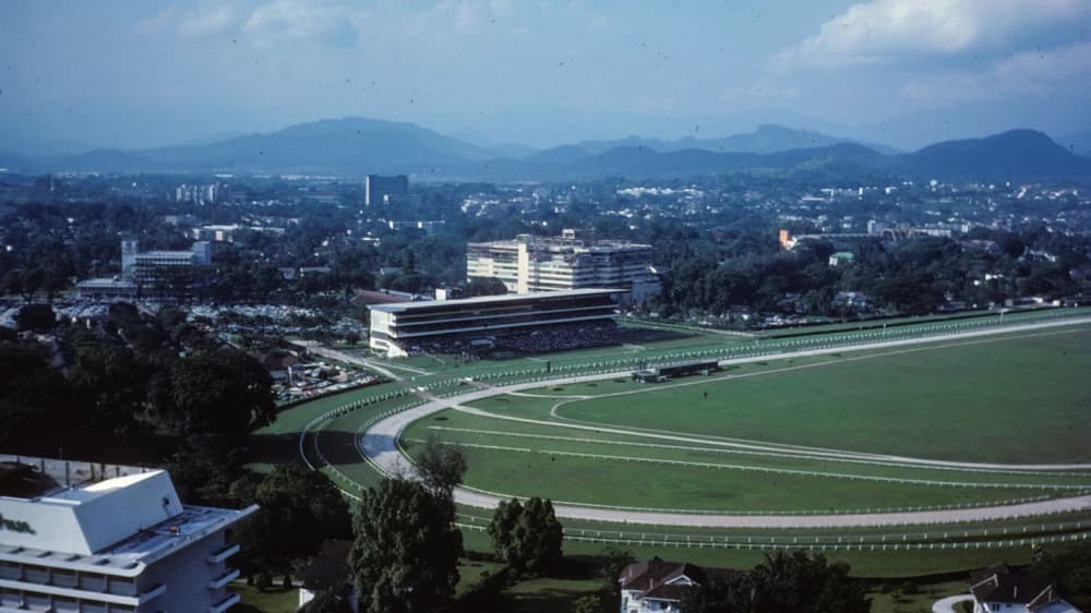 Albury Racing Club: A Century of Tradition, Thrills, and Community Spirit