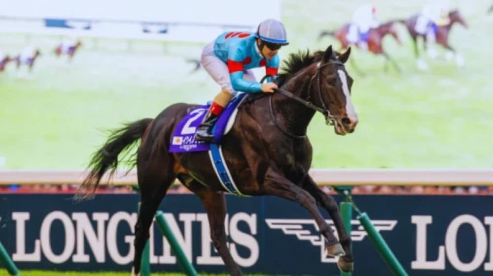 Equinox: The Unstoppable Force of Modern Horse Racing