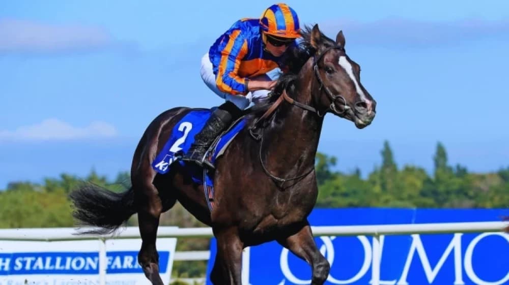 Auguste Rodin: A Masterpiece on the Turf