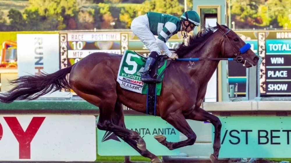 Flightline: The Undefeated Phenom Who Redefined Greatness