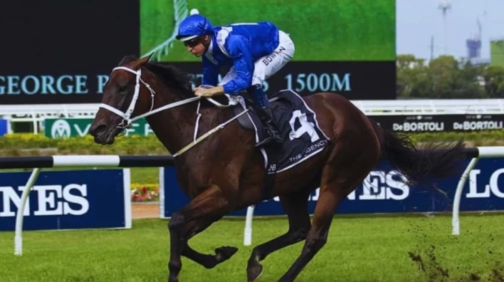 Winx: The Undisputed Queen of the Turf