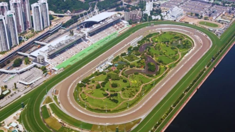 Sha Tin Racecourse: The Crown Jewel of Hong Kong Horse Racing