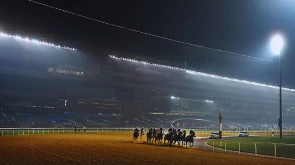 Meydan Racecourse: The Crown Jewel of Global Horse Racing