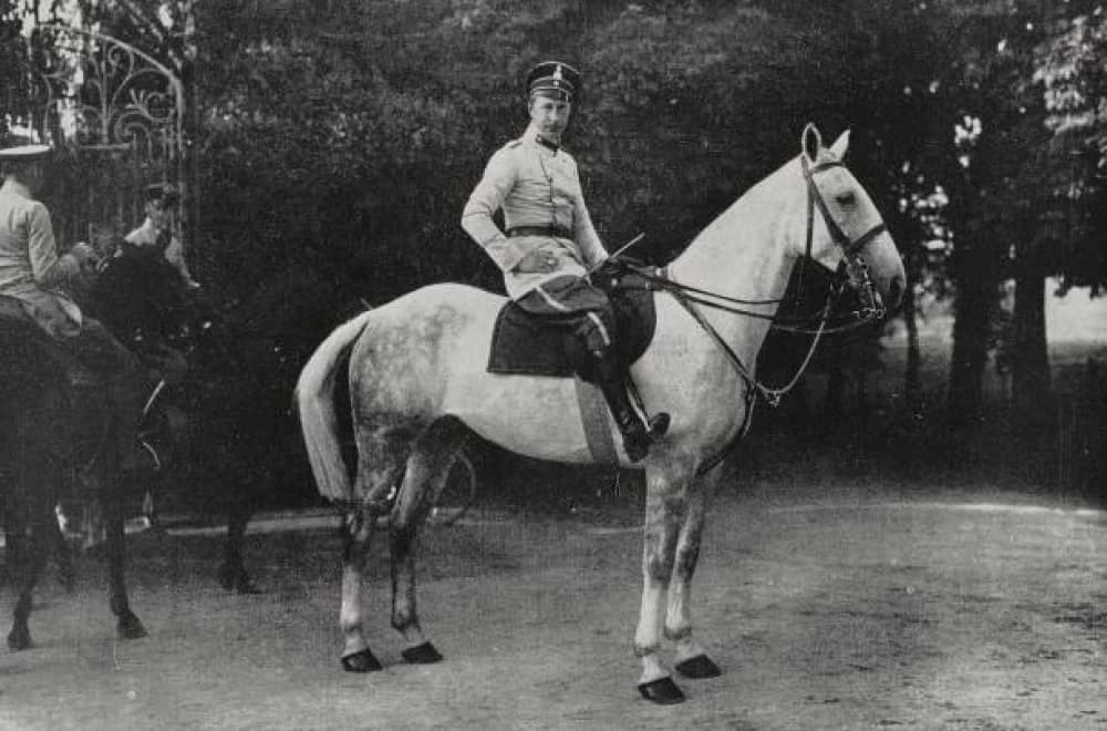 Bold Ruler: An Icon of Thoroughbred Racing Legacy