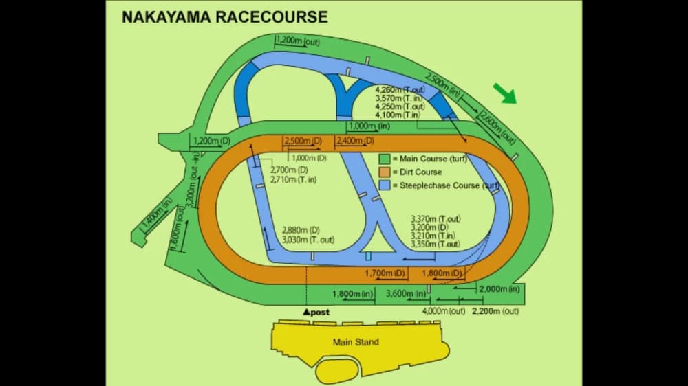 Nakayama Racecourse: A Jewel in Japanese Horse Racing