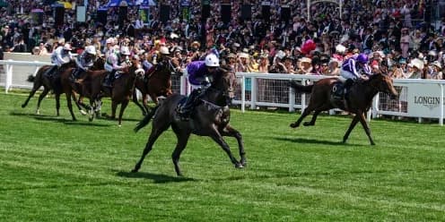 Adrian Murray's Valiant Force Eyes Group Race at Dundalk