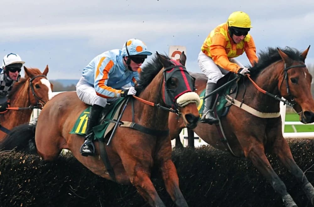 Vibrant Sun Eyes Empire Stakes as She Stays Among Mares at Caulfield