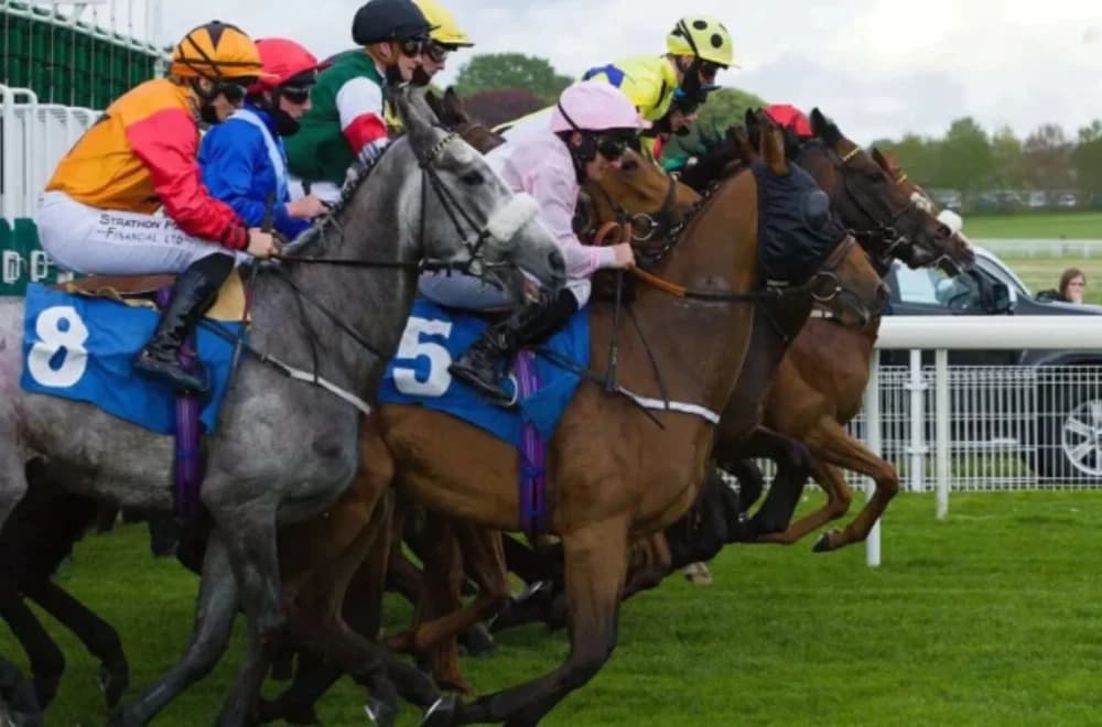 Monday’s Top Horse Racing Tips: Value Picks and Notebook Double