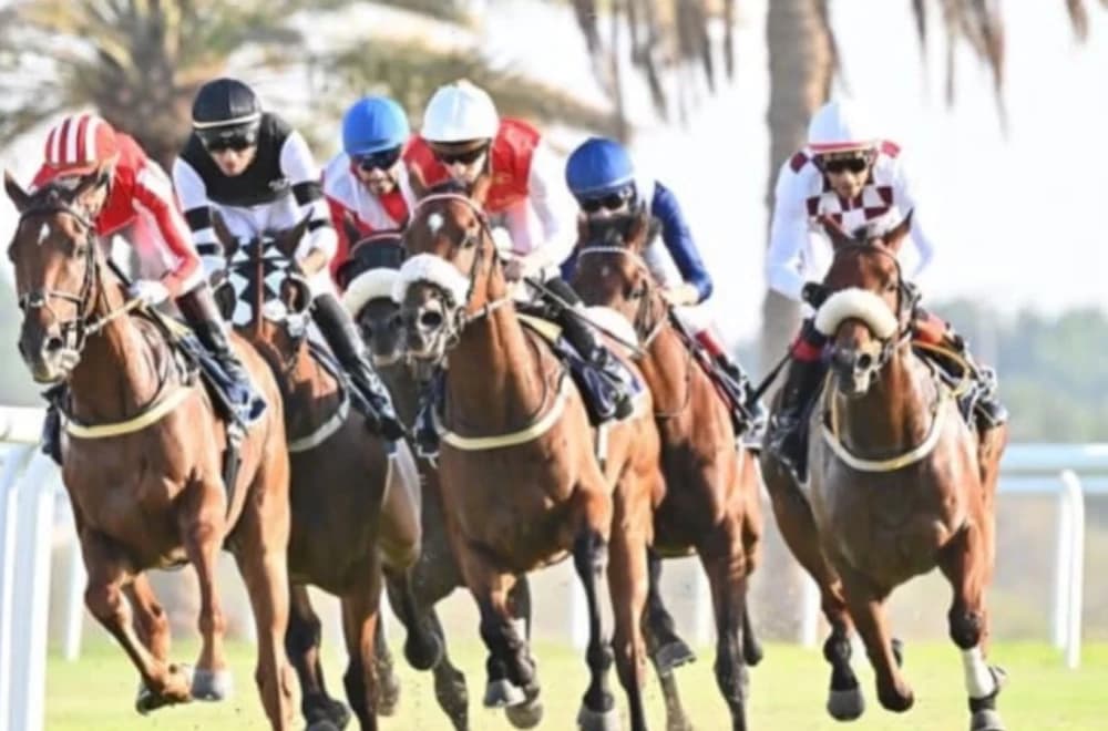 REHC Signs Sponsorship Deal with Alzayani Investments Group for 2024-25 Horseracing Season