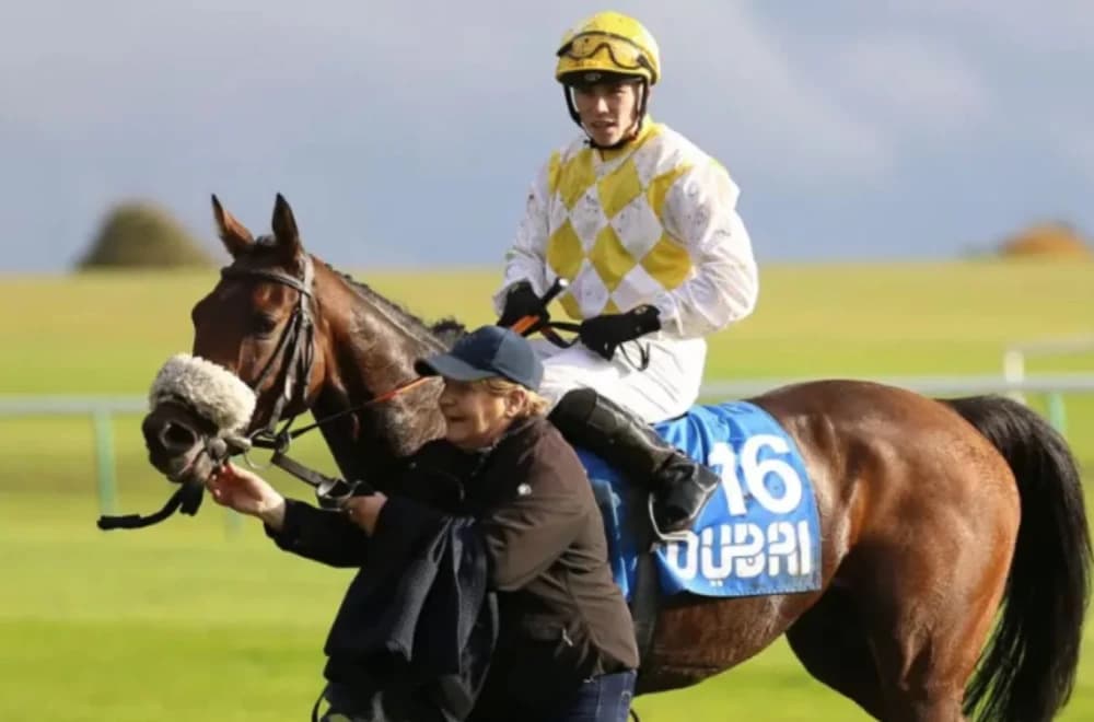 Race Winner Disqualified After Breaking Whip Rules, Runner-Up Awarded Victory