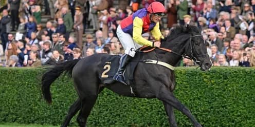 Race Day at Wincanton Raises Over £100,000 in Tribute