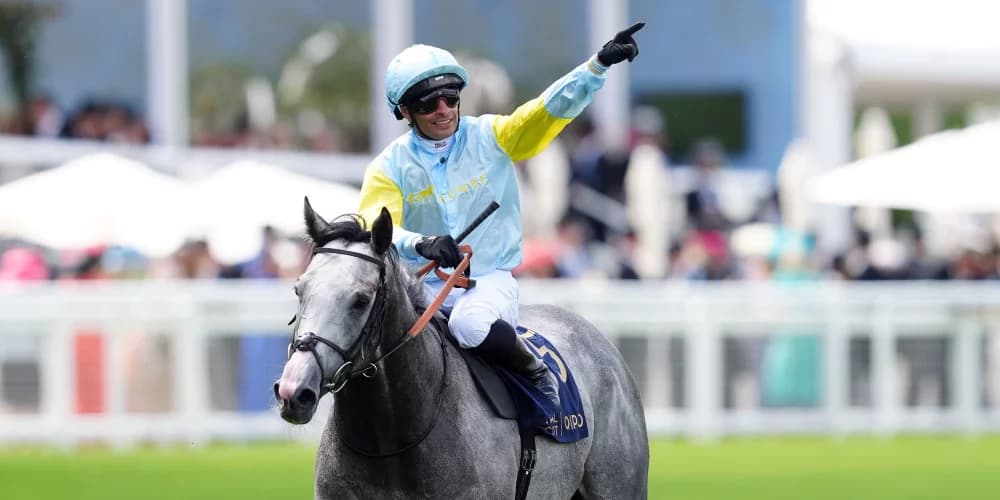"From Royal Ascot Triumph to French Challenge: Charyn Aims for Prix Jacques le Marois Victory"