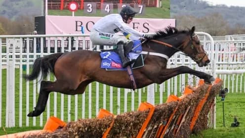 Constitution Hill Faces Injury Setback Before Upcoming Race