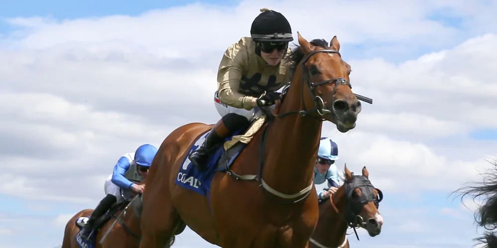 Osborne fears handicapper now has Ouzo in his grip