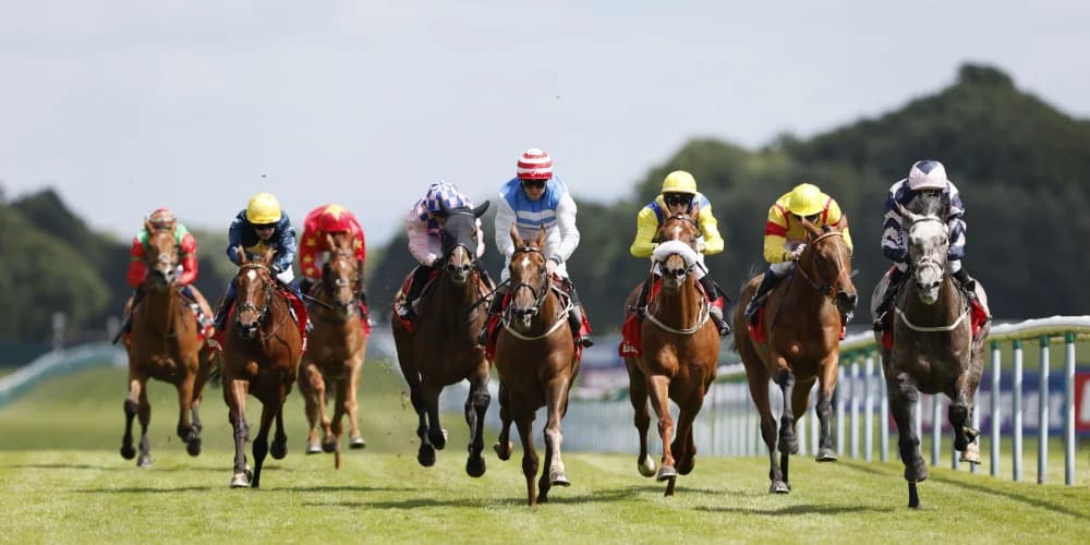 Iron Lion enters Ebor reckoning with taking Haydock success
