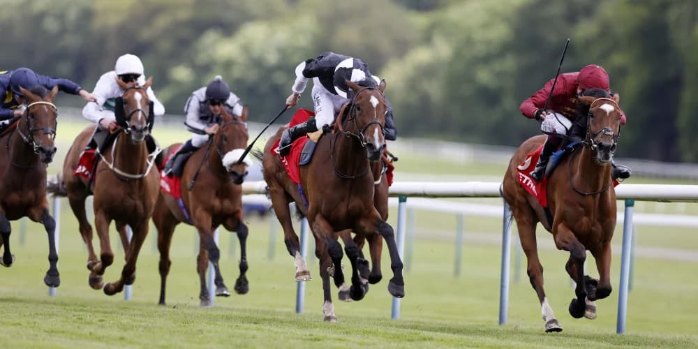 Queen Of The Pride does her parents proud at Haydock