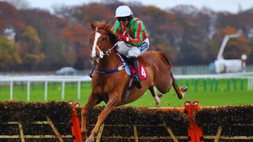 Tony Martin Celebrates Comeback with Hamsiyann's Big Win