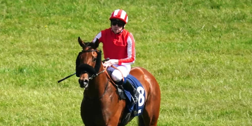 Seven Questions supplemented for King Charles after impressing George Scott