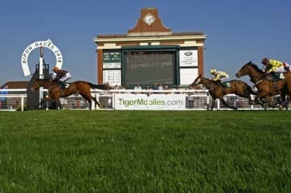 Chepstow Set for Thrilling Hurdle Debuts This Wednesday