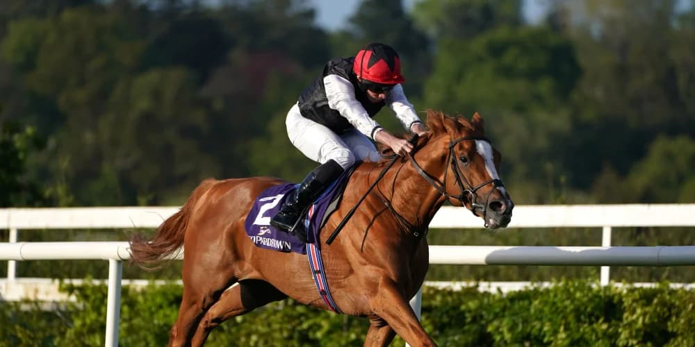 Kyprios facing 11 potential rivals as he bids to regain Gold Cup crown at Royal Ascot