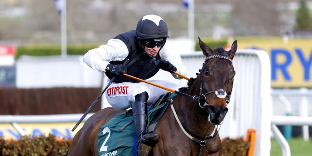 Cromwell Poised for Success at Guinness Kerry National with Flooring Porter and Perceval Legallois
