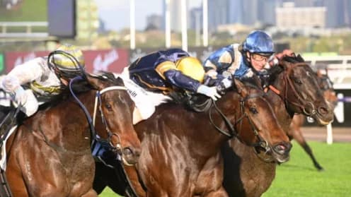 Arkansaw Kid Set to Compete in Inaugural The Meteorite Race