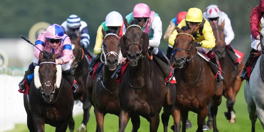 Skellet Shines in Sandown's Fortune Stakes with Late Surge Victory