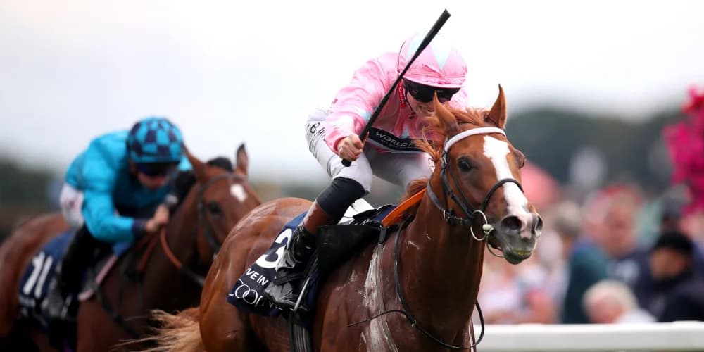 Sandown Charge still on the agenda for Live In The Dream