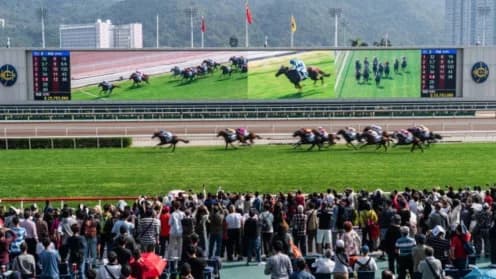 Transforming Horse Racing: Hong Kong Jockey Club's Vision