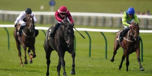 Eydon Aims for Redemption at Newmarket in James Seymour Stakes