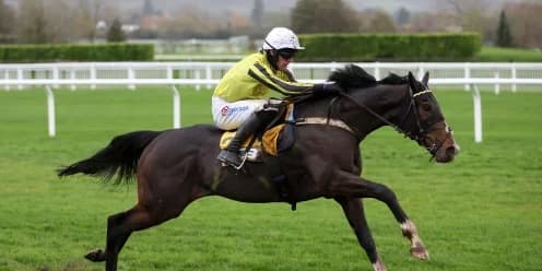 Burdett Road Eyes Cheltenham Glory in Greatwood Hurdle Return