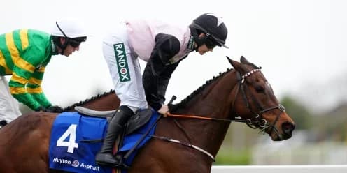 Heart Wood Shines at Michael Hickey Memorial Chase