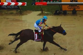 American Pharoah: The Legacy of Racing's Great Champion