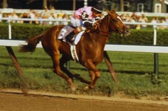 Celebrating Affirmed: A Triple Crown Champion
